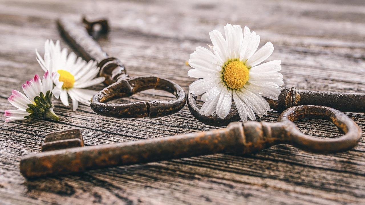 Lire la suite à propos de l’article Votre avenir dévoilé : Comment trouver un voyant fiable en ligne