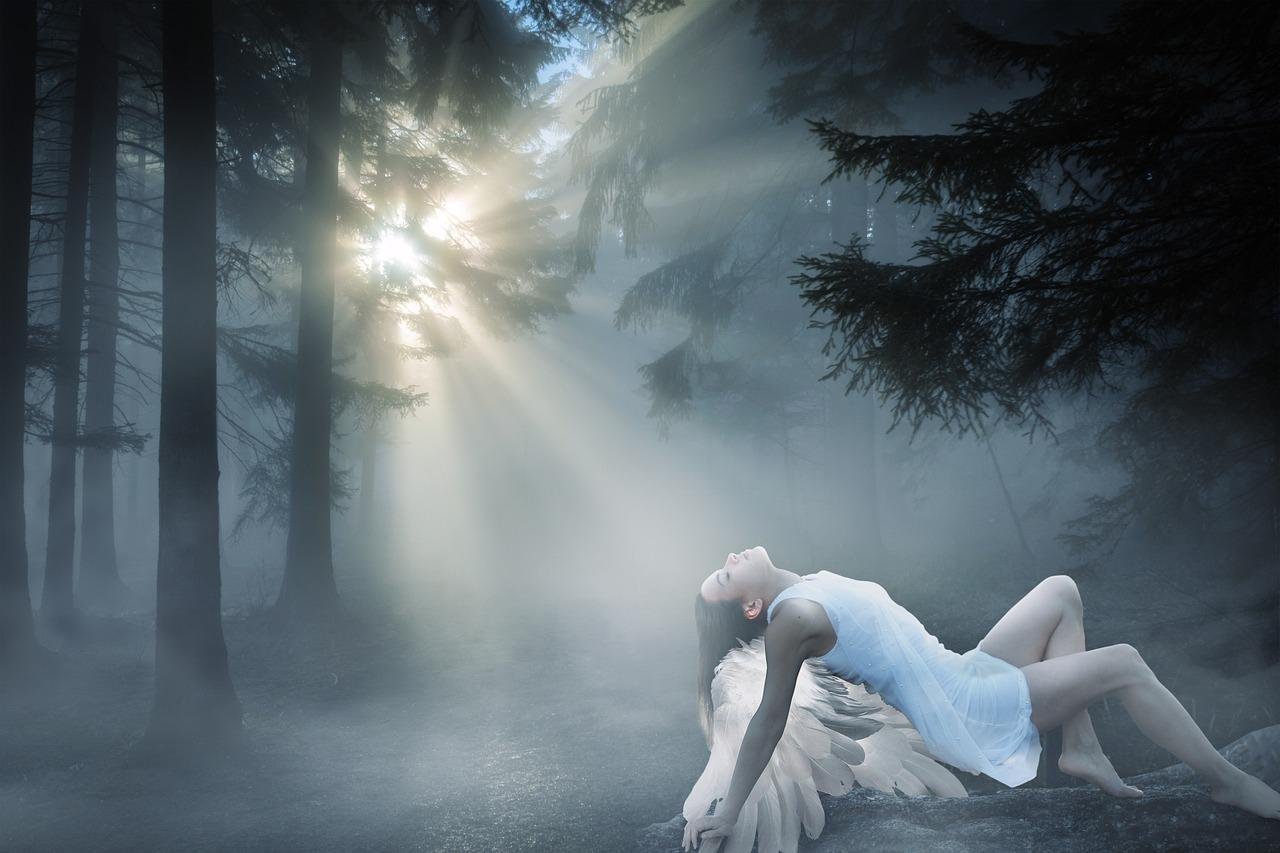 Lire la suite à propos de l’article Comprendre la Synchronicité et ses Origines